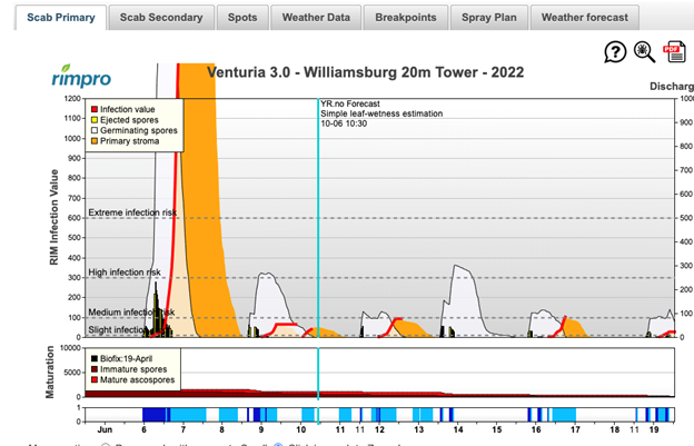 Figure 7. Apple scab RIMpro model output for scab infection risk, June 14, 2022.